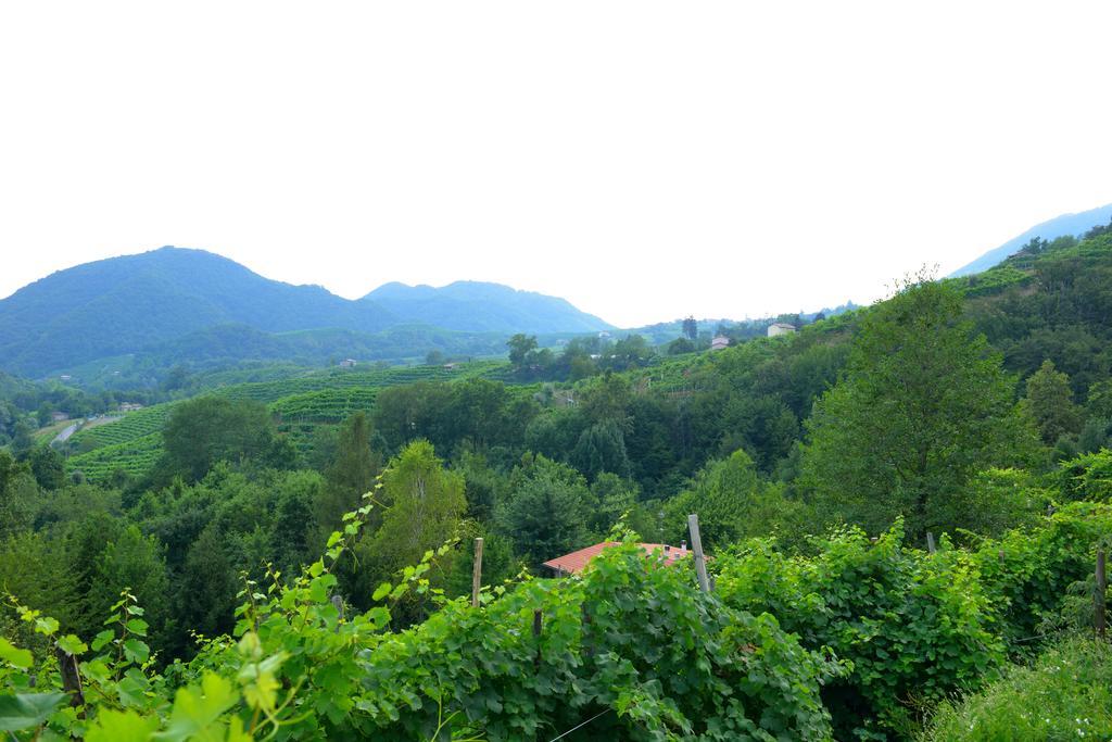 B&B Casa Di Campagna Miane Quarto foto