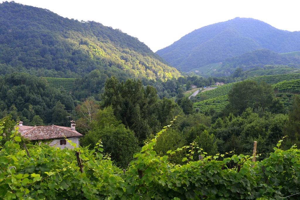 B&B Casa Di Campagna Miane Quarto foto